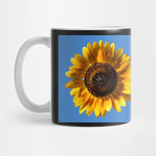 Blue and Yellow Mug